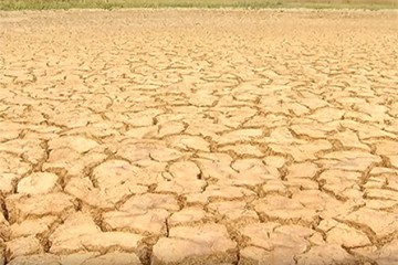 Série evidencia a seca no Norte de Minas